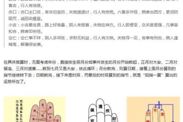 白鹤神数量指算命
