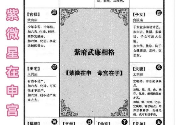 紫微斗数十四主星：紫微星概论