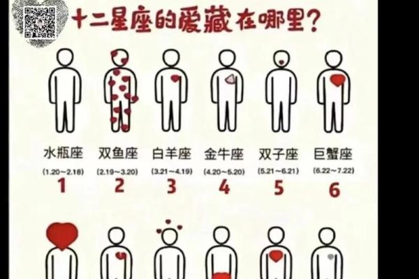 不知道自己是什么星座的可以查吗
