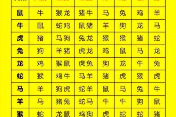 属猪和属鼠的八字合吗