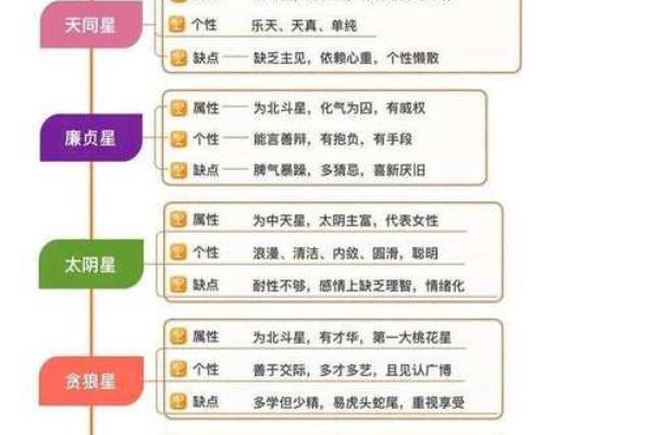 紫薇斗数命主详解