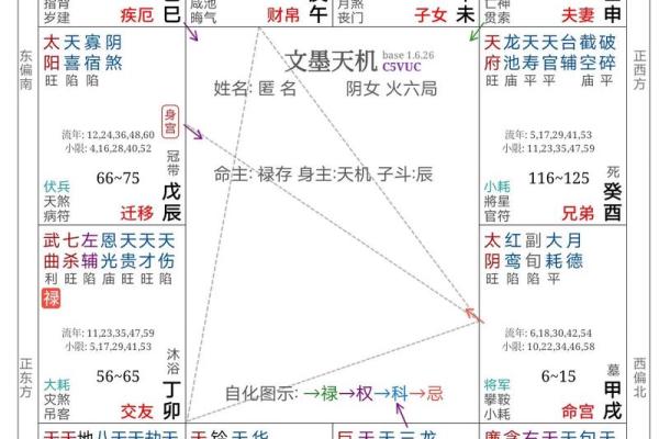 紫薇斗数太阴太阳代表
