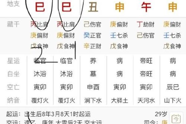 生辰八字计算器,输入出生日期查八字