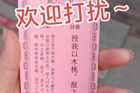 八卦灵签解签共有多少钱