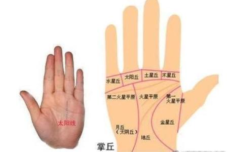 男人生命线图解，男人看手相生命线算命