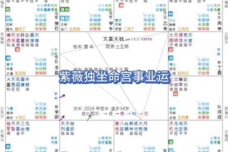 紫薇星斗数排盘元亨