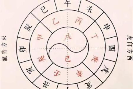 八字天干地支