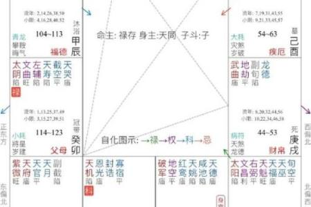 如何看紫薇星在什么宫