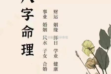 八字合婚精批是什么意思