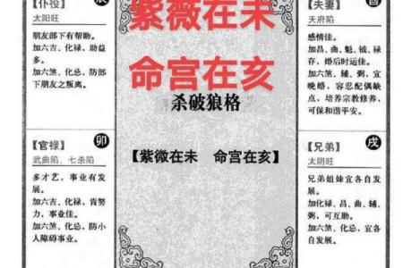 紫薇斗数算怀孕时间