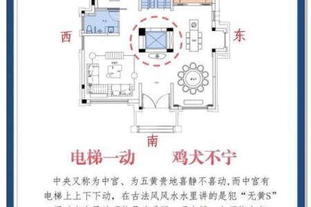 能有利于准妈咪的家居风水是啥