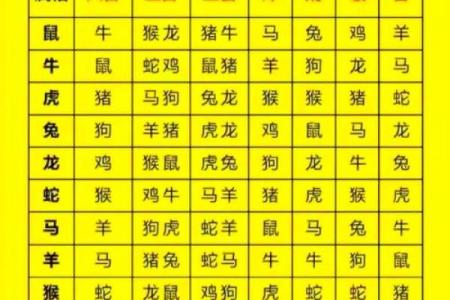 属猪和属鼠的八字合吗