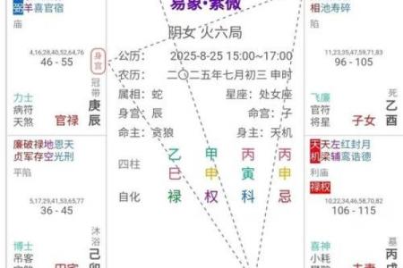 紫薇斗数命主详解