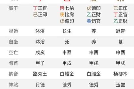八字乙未日