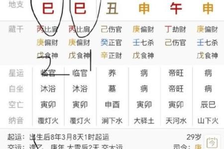 生辰八字计算器,输入出生日期查八字