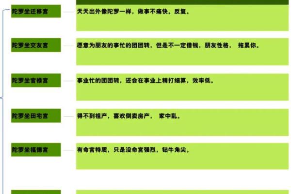 紫微斗数陀罗在命宫的重要性及解读