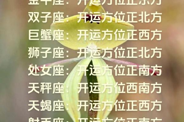 本周运势更好的五个星座