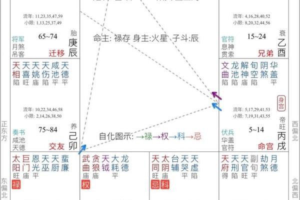 紫微斗数盘里紫薇