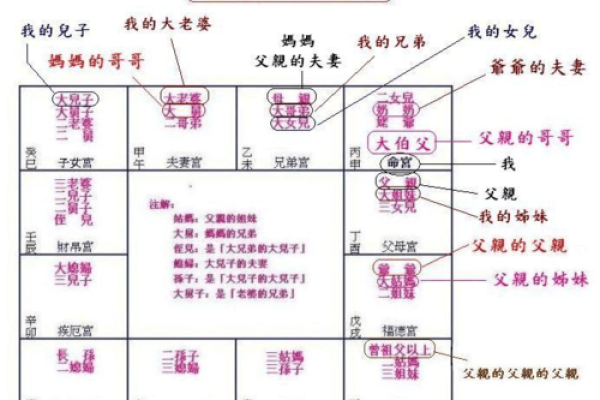 灵机紫薇斗数下载