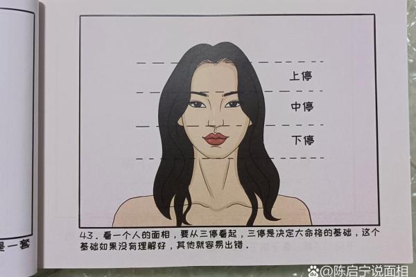 面相算命：巴掌脸的人命运如何