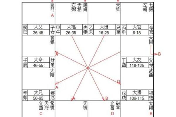倒背如流：紫微斗数+八字（基础知识点）