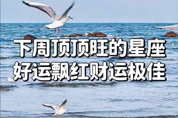 鼠女今日运势新浪星座