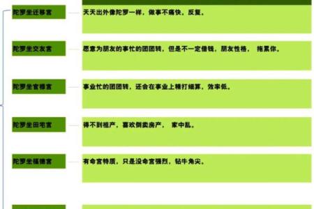 紫微斗数陀罗在命宫的重要性及解读
