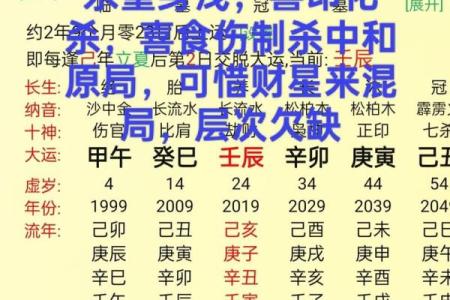 八字官杀混杂走食神大运 有什么含义