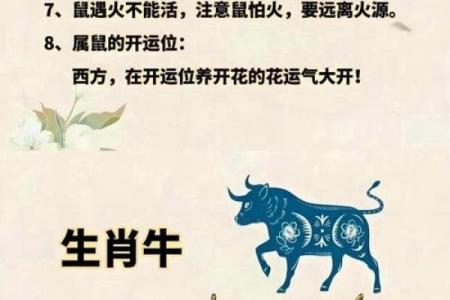 属牛的八字
