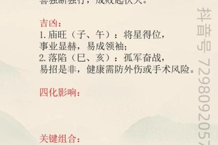 紫薇斗数 七杀是什么