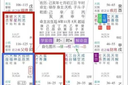 在线紫薇斗数排盘分析