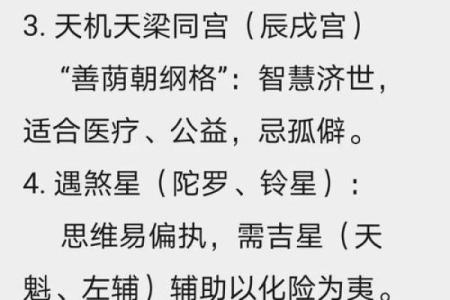 紫微斗数之事业宫与诸星，天机星在事业宫是什么意思？