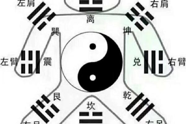 怎么看八字适合什么颜色