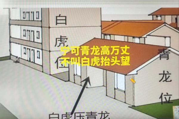 越住越富的房子青龙方位