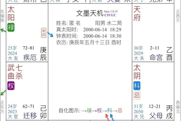 紫薇斗数旺衰