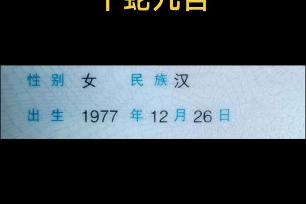 属蛇是哪一年出生的 属蛇的男孩出生吉日