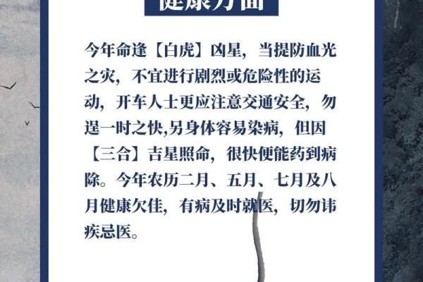 2024年对生肖鼠好不好，属鼠人在2024年的有利方位解析