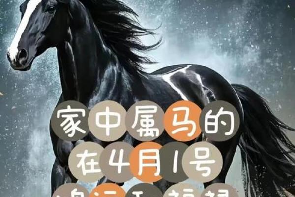 马年八月出生吉日，属马8月出生？