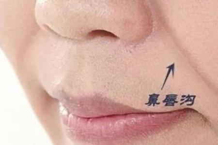 鼻子两侧八字纹图片