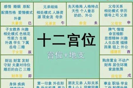紫微斗数之八卦万物类象：兑卦详解