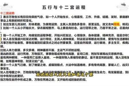 八字五行格局