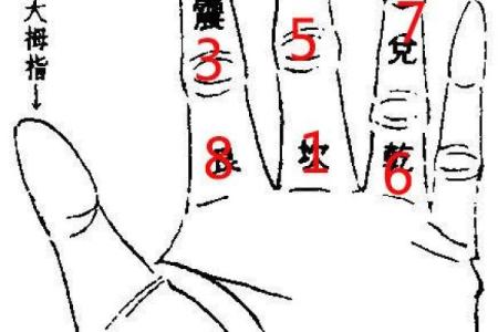 怎么算命用手就行