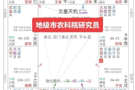 紫薇斗数变景