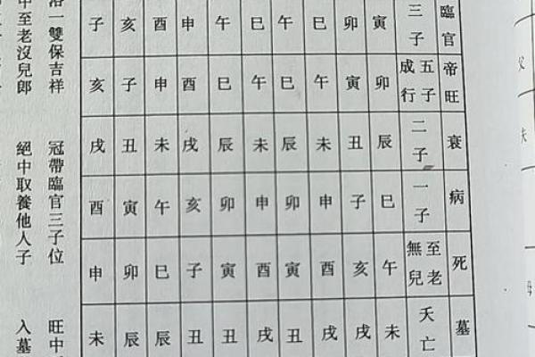 太阳在子女宫，紫微斗数太阳星入子女宫