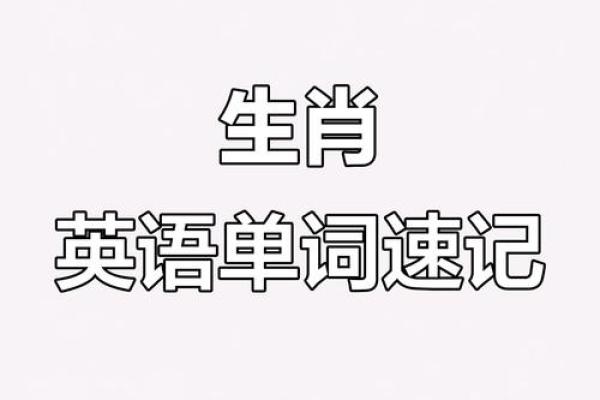 如何给孩子介绍十二星座英语