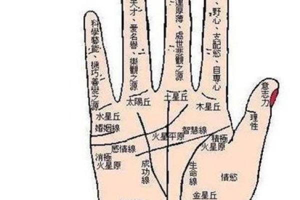 算命为什么算的准