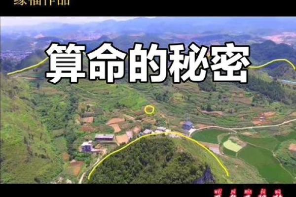 算命为什么算的准