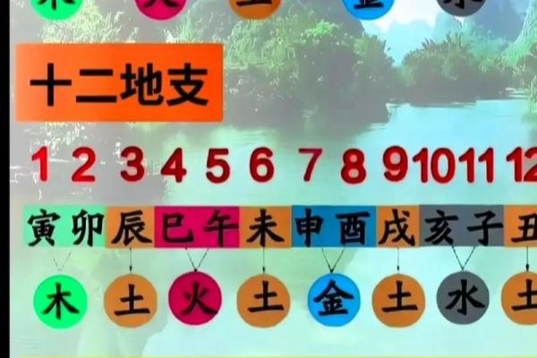 八字与奇门