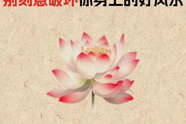 发散风水