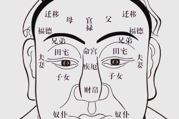 双雀纹与八字纹的区别是什么
